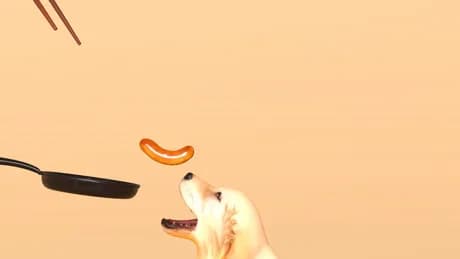 a weird game about sausage