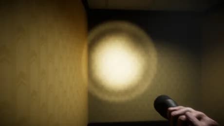 Backrooms: The Last Observer