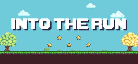 INTO THE RUN