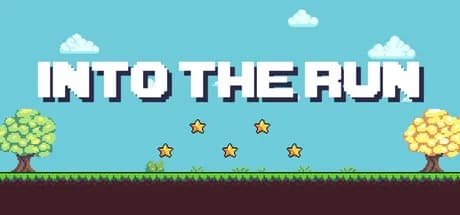 INTO THE RUN