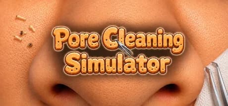 Pore Cleaning Simulator