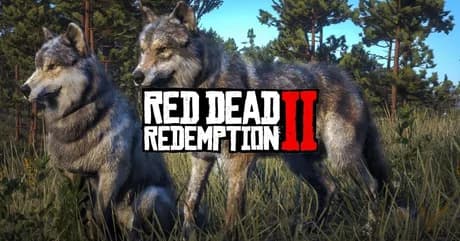 Red Dead Redemption 2 Player Terrorized by Wolves