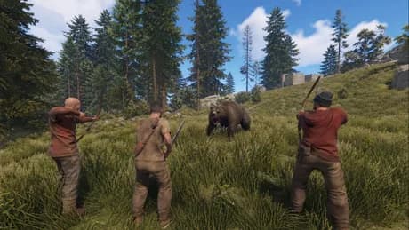 Survival Dimension