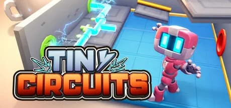 Tiny Circuits