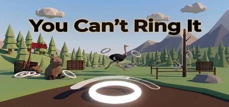 You Can't Ring It