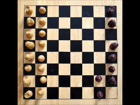 Calvin's Chess Board Set Up