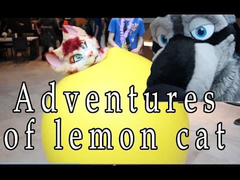 Adventures of Lemon Cat Part 1