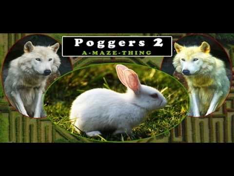 It's Days Away From Launching!  ..Finally!  ...P O G G E R S  2 : A-Maze_Thing!!  Bun-Bun, Our Hero!