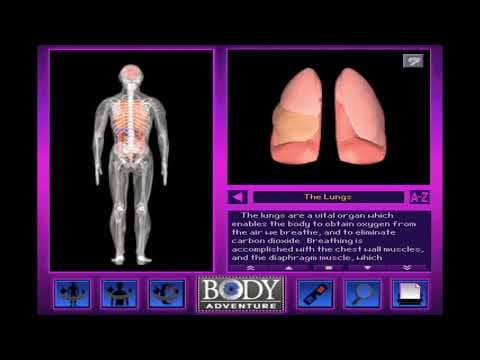 3-D Body Adventure for Windows 3.1